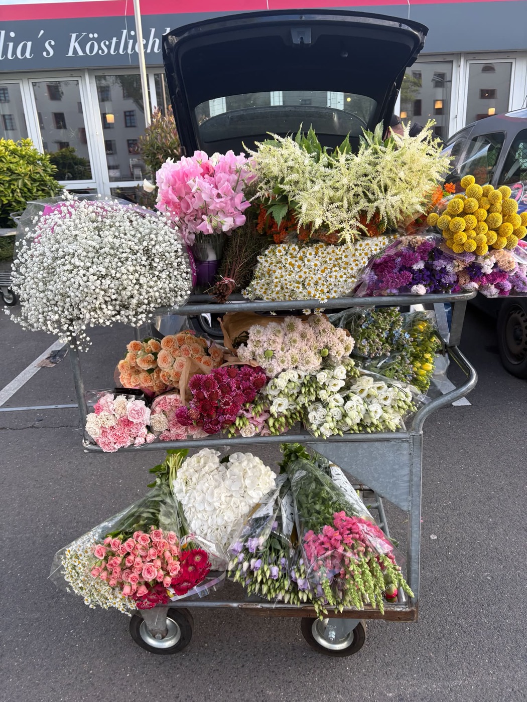 Frische saisonale Schnittblumen in Eimern – Pfingstrosen, Schleierkraut und mehr